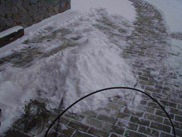 snow_yes_ant.jpg